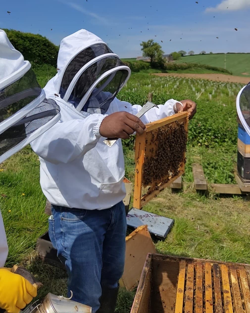 Beekeeper working with sustainable beekeeping equipment
