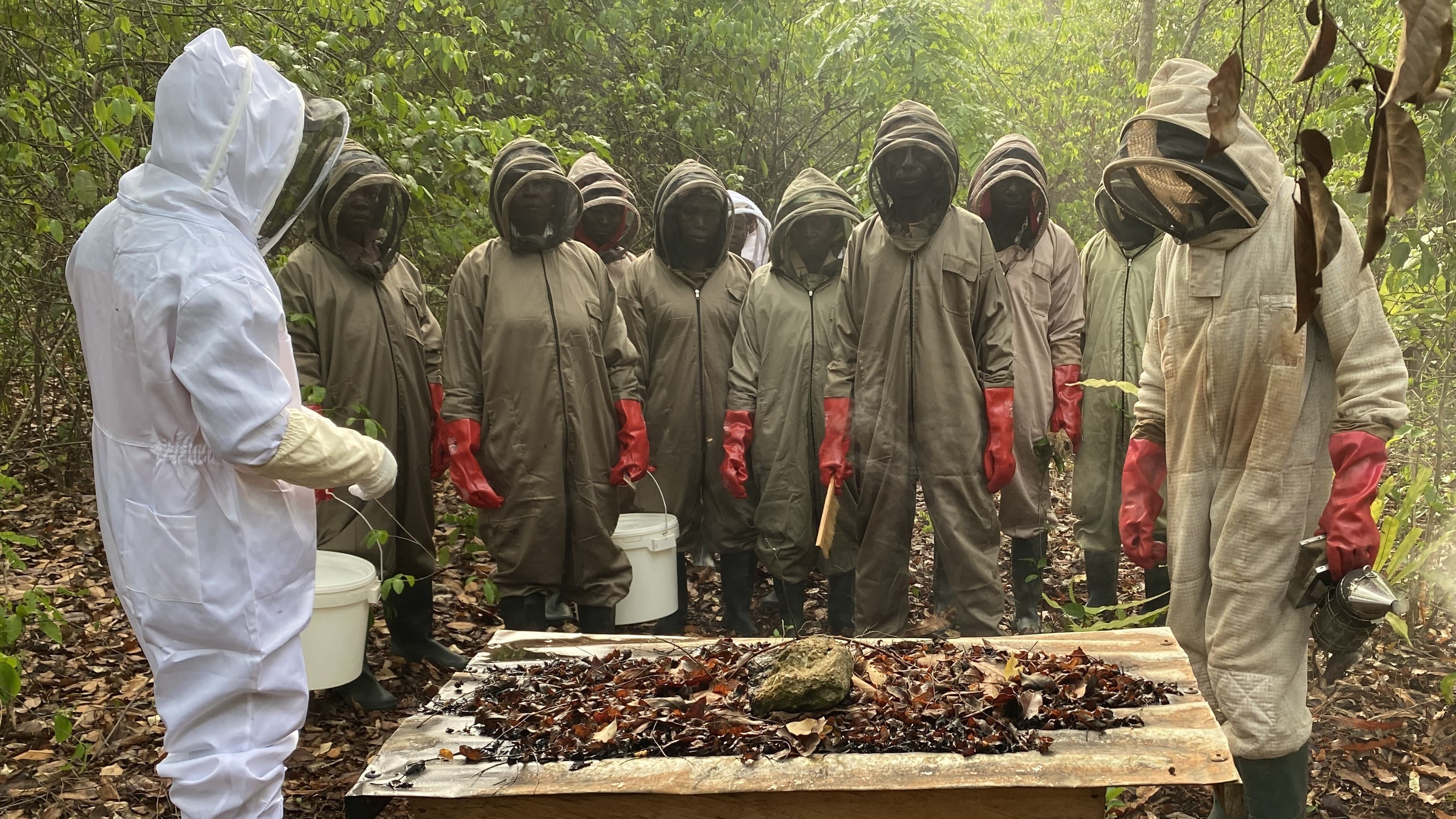 Consultation background