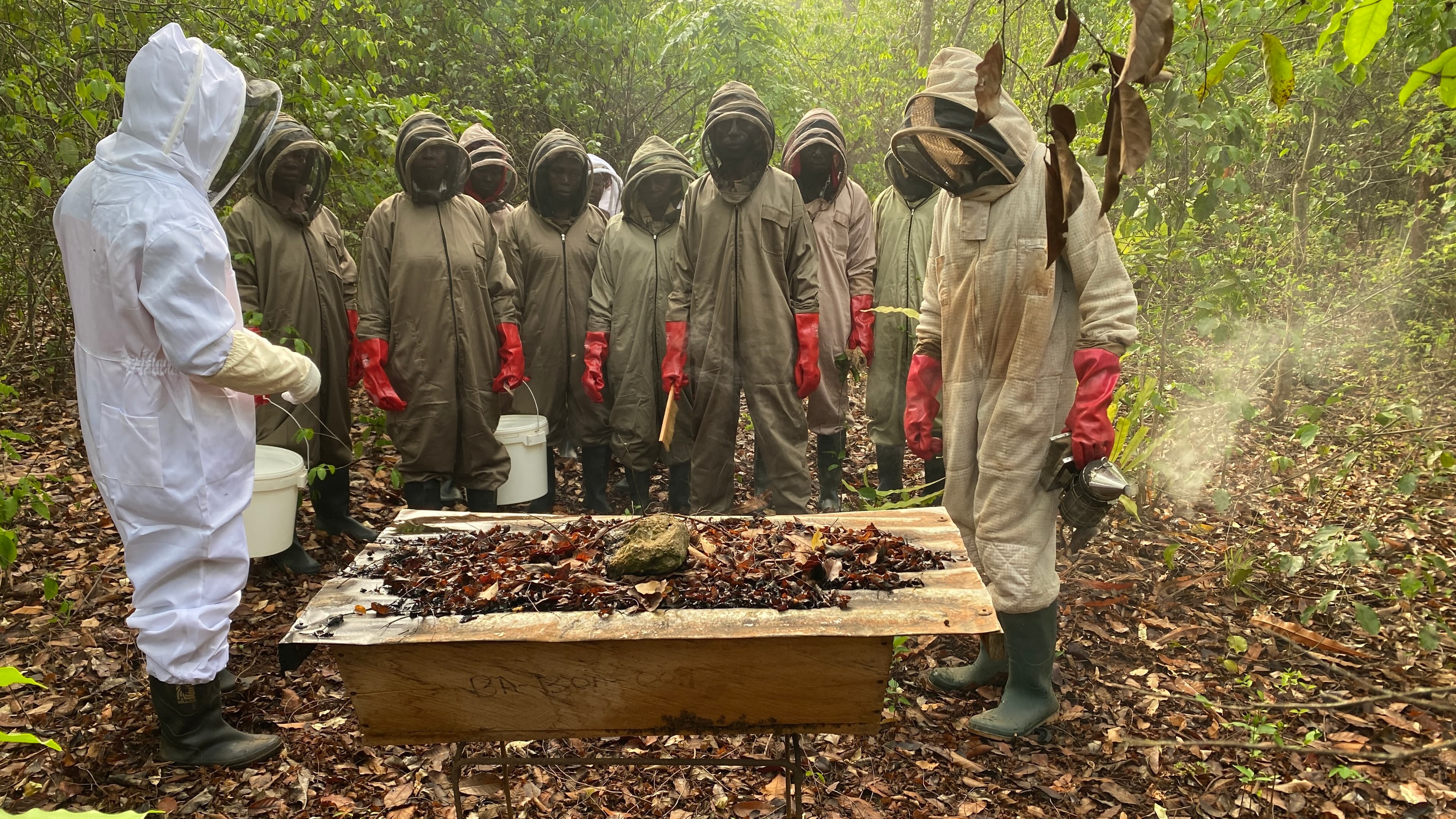 Consultancy and Training